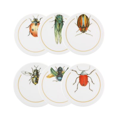 Set 6 Coasters