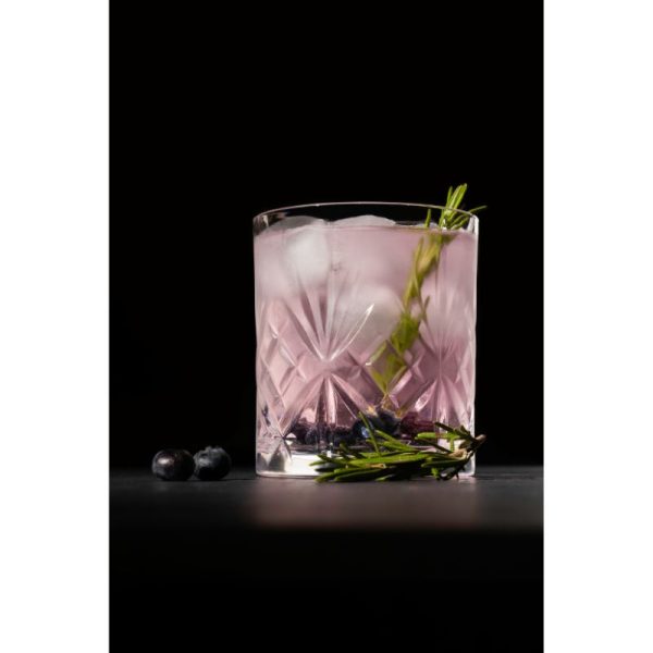 Diamante  | Chatsworth Tumbler | 310 ml | Set of 4